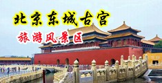 操乌克兰美女bb视频中国北京-东城古宫旅游风景区